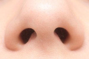 el orificio nasal