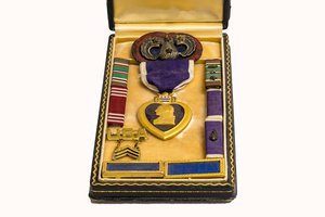 insignia