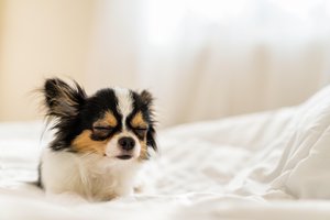 to make sleepy