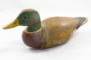 decoy