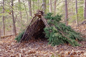shelter