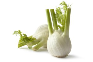 fennel