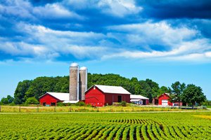 farm