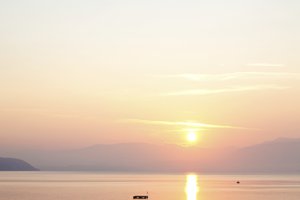 in the morning
