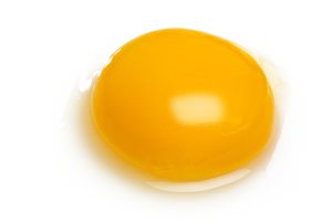 yolk