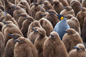 to stand out