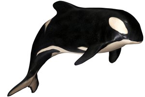 la orca