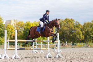 equestrian