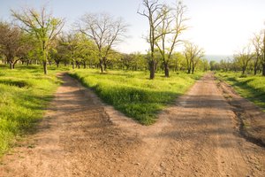 two roads