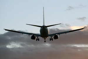 flight