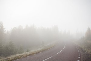 la niebla