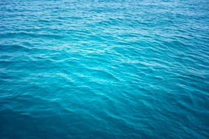 freshwater