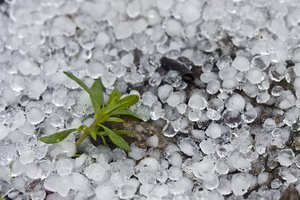 el granizo