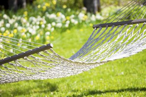 hammock