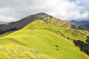 la colina