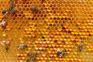 hexagon