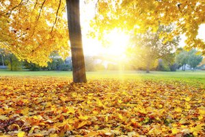 el otoño