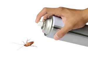 el repelente de insectos