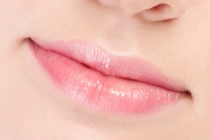 el labio