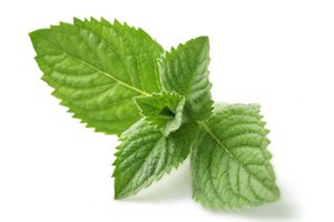 mint