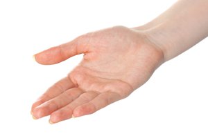 palm