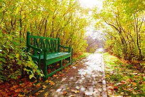 el parque