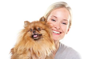 pet