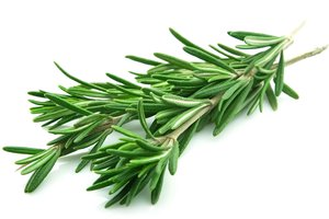 rosemary