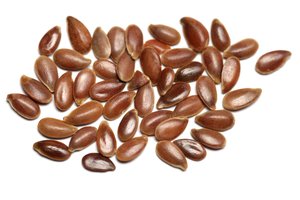 seed