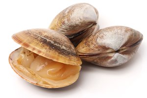 seafood