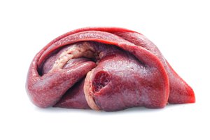 spleen