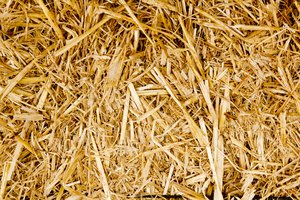 straw