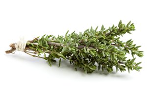 thyme