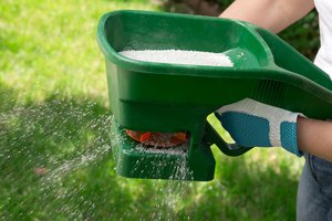 fertilizer
