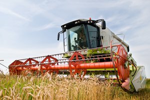 to harvest