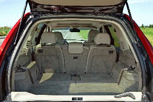 trunk