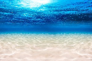 debajo del agua