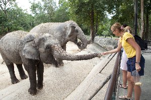 el zoológico