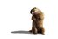 Groundhog Day