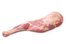 leg