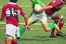 rugby