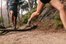 trail
