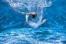 plunge
