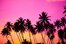 rosado