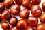 chestnut