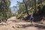 trudge