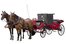 carriage