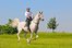 horse riding