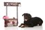 kissing booth