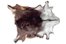 fur